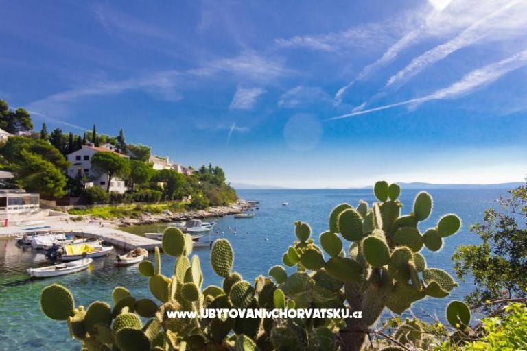 Apartamenty ŠUKI – foto 5