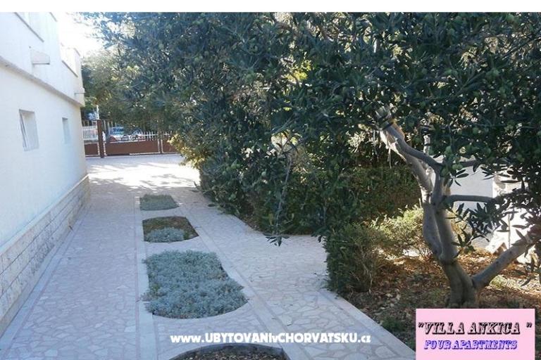 Apartamenty Villa Ankica – foto 10