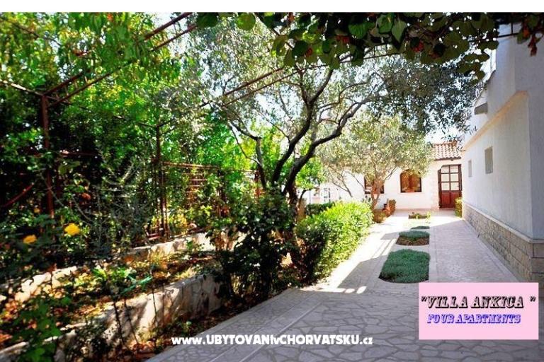 Apartamenty Villa Ankica – foto 6
