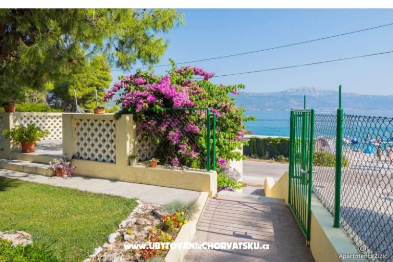 Apartamenty Žižić – foto 10