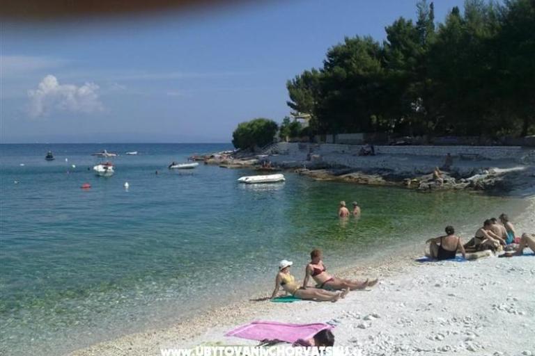 Apartament Dom Juretic – foto 5