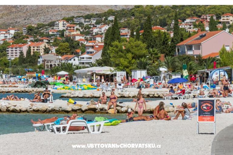 Karlo – foto 26