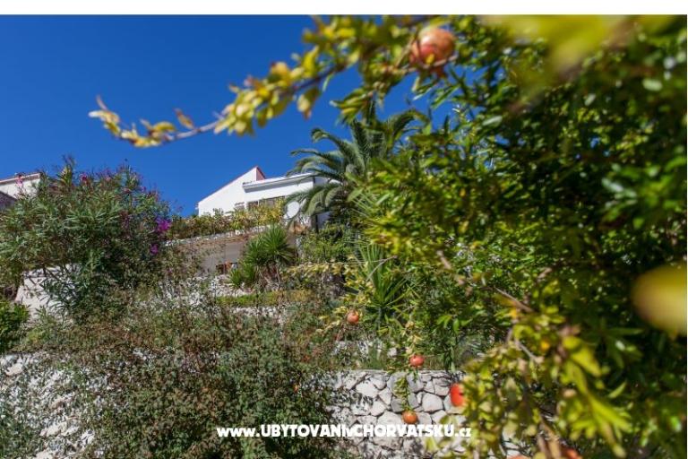 Dom wakacyjny Bok – foto 15