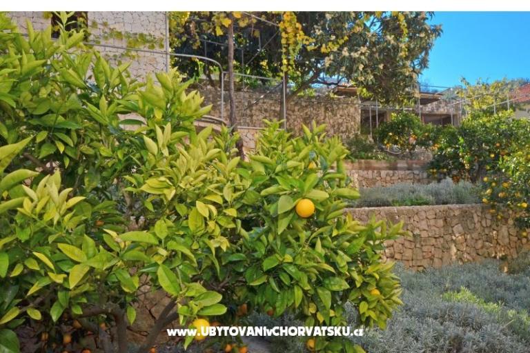 Lola Apartamenty – foto 19