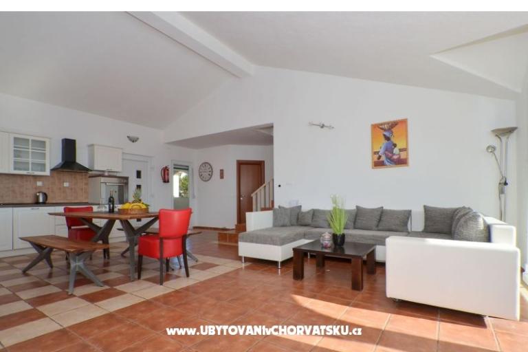 Predrag – foto 7