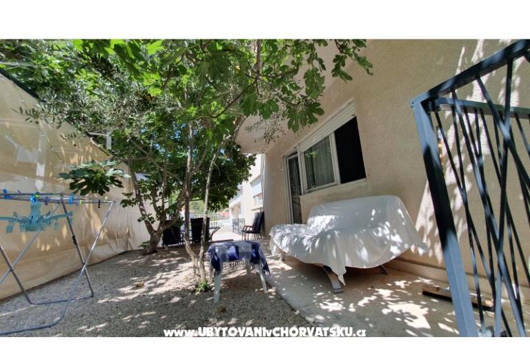 Sea Land  – foto 15