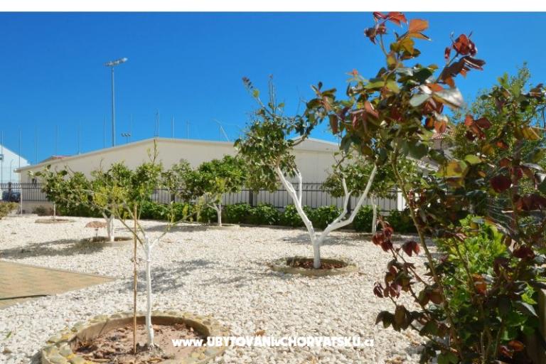 Simba Apartamenty – foto 3