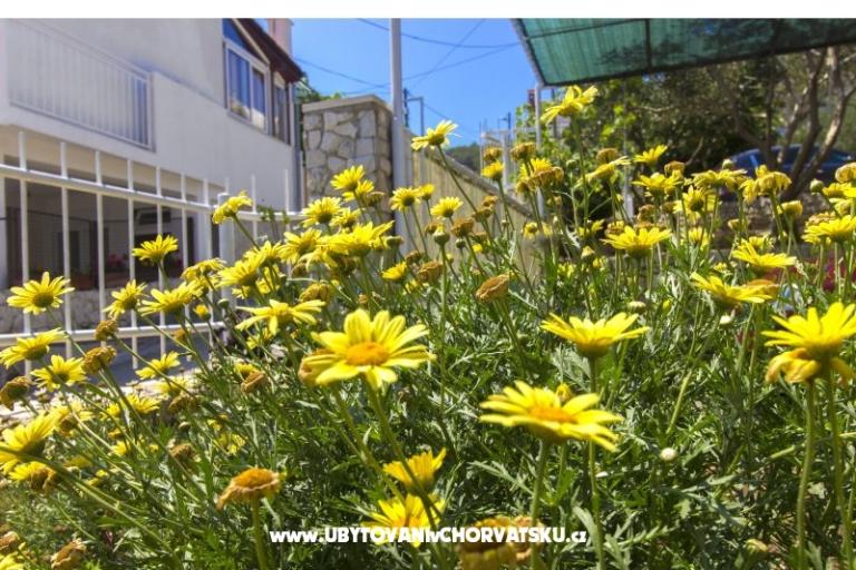 Apartamenty Katarina Čiovo – foto 11