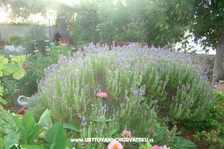 Apartamenty Villa Milena – foto 6