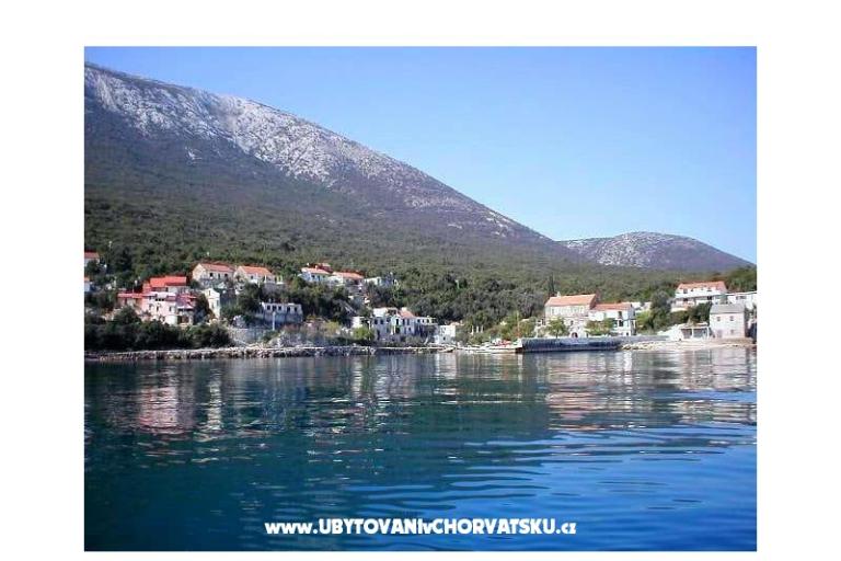 Apartamenty BIBA – foto 7