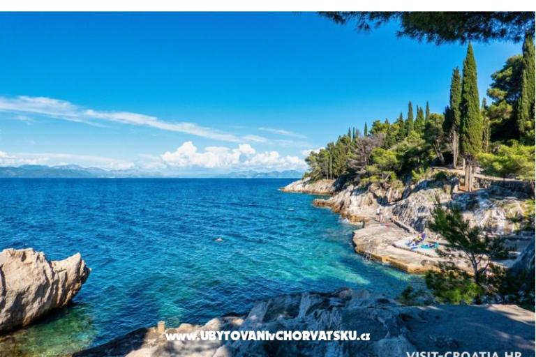 Apartamenty Bukovac – foto 14