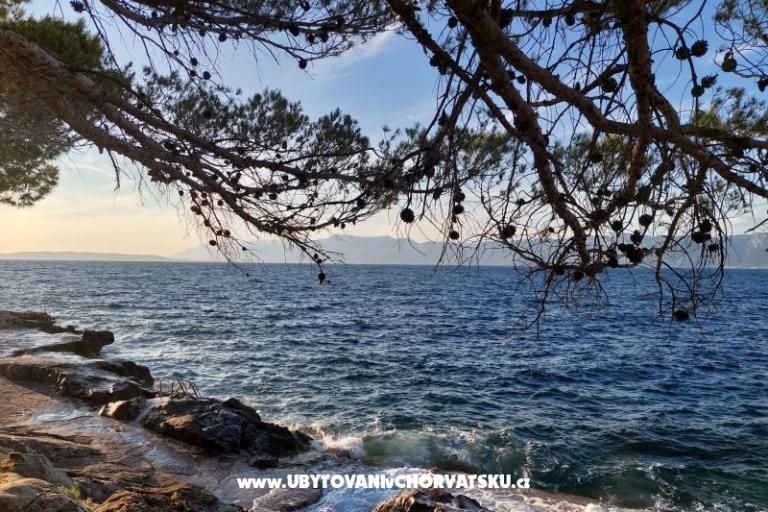 Apartamenty Bukovac – foto 15