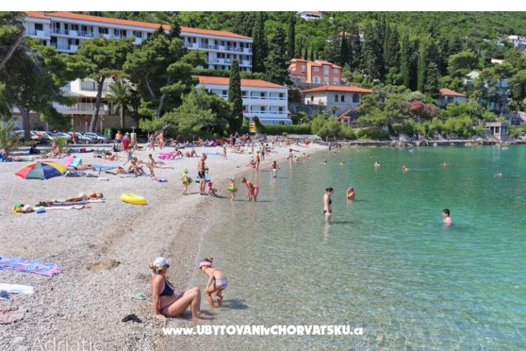 Apartamenty Bukovac – foto 17