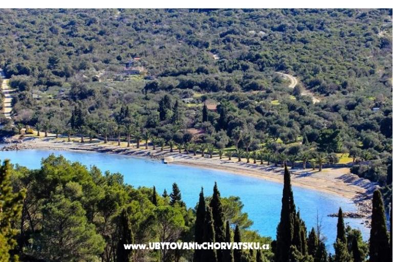 Apartamenty Nino – foto 14