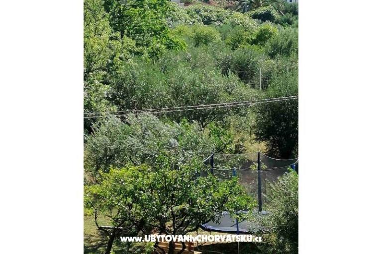 Apartamenty Nino – foto 3