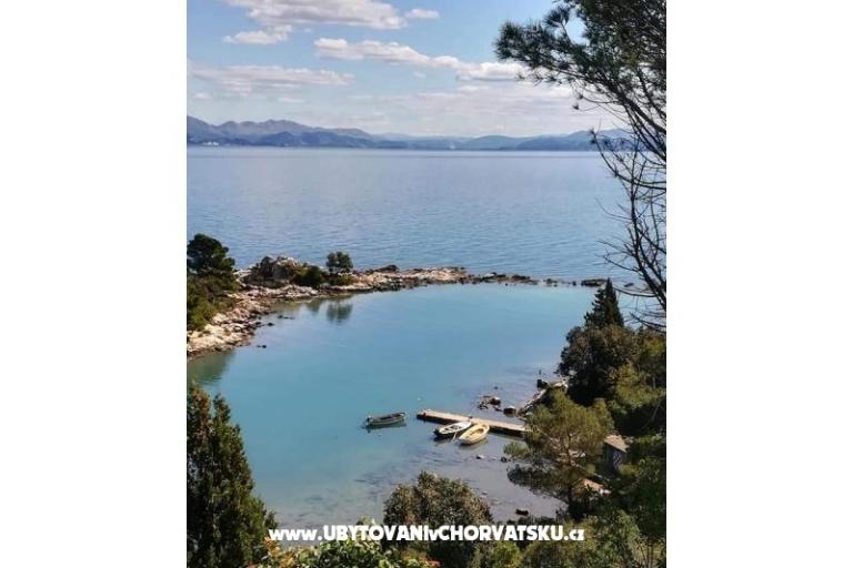 Apartamenty Nino – foto 8