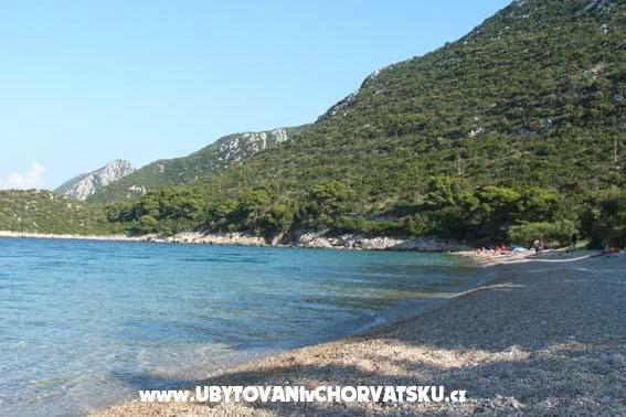 Apartament Despot – foto 7