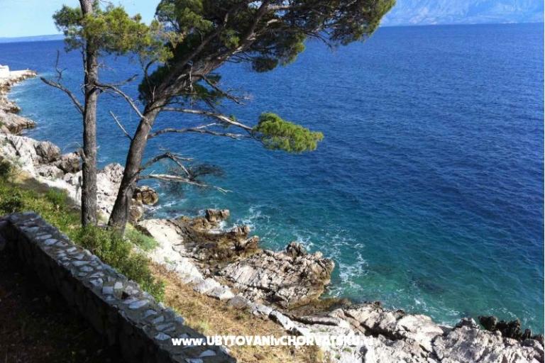 Vila Nautilus luxury Apartamenty – foto 21