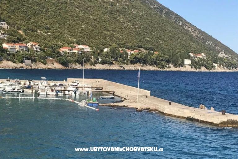 Vila Nautilus luxury Apartamenty – foto 22