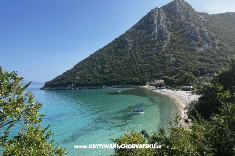 Vila Nautilus luxury Apartamenty – foto 8