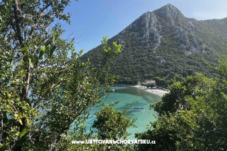 Vila Nautilus luxury Apartamenty – foto 9