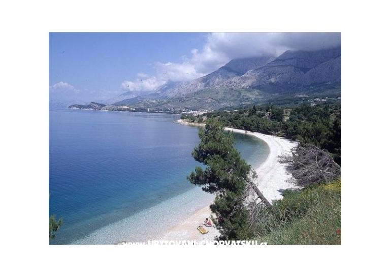 Apartamenty Marija &amp; Frane Mravičić – foto 8