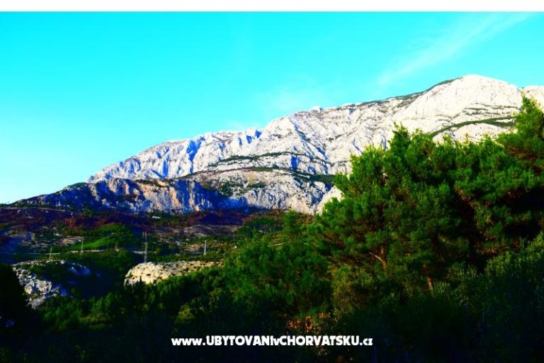 Apartamenty Marin – foto 14