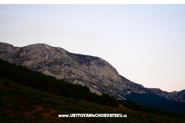 Apartamenty Marin – foto 8