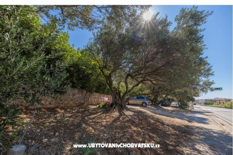 Apartamenty Marta – foto 18