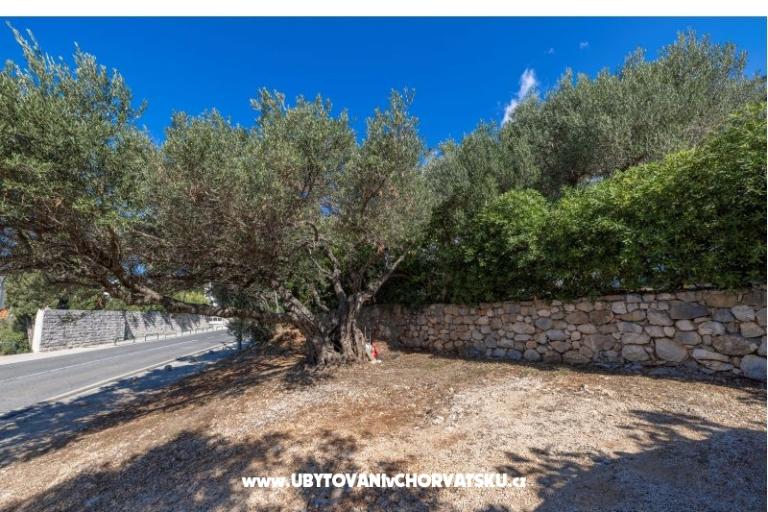 Apartamenty Marta – foto 19