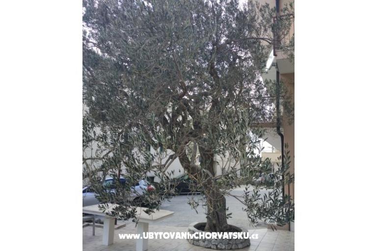 Apartamenty Mena – foto 4