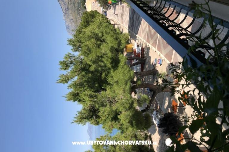 Apartamenty Mihaljević-Olea – foto 10