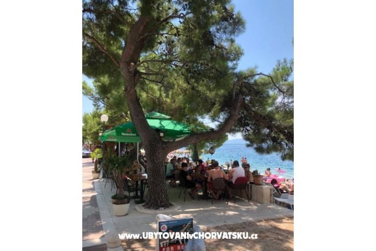 Apartamenty Mihaljević-Olea – foto 14