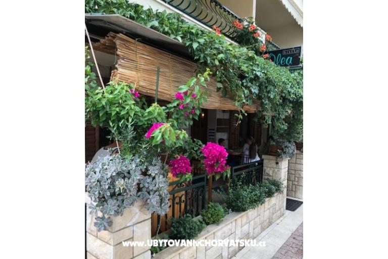 Apartamenty Mihaljević-Olea – foto 15