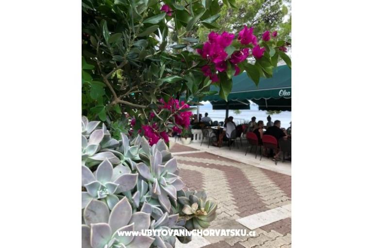 Apartamenty Mihaljević-Olea – foto 18