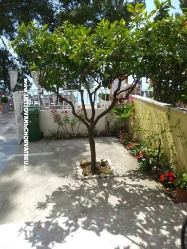 Apartamenty Mija – foto 10
