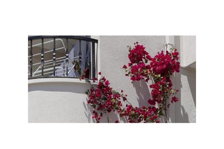 Apartamenty Suzana i Zlatan – foto 8