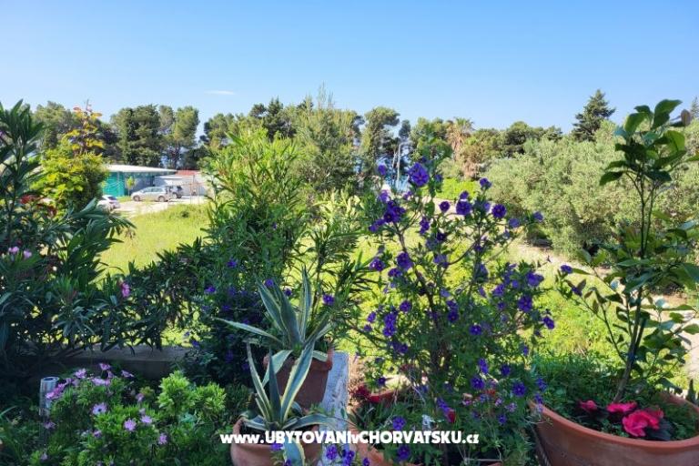 Apartamenty IKO - Tučepi – foto 20