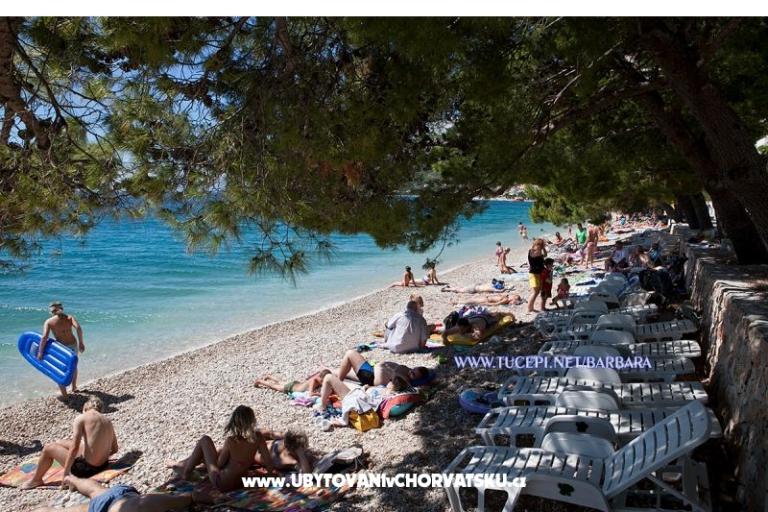 Apartamenty Barbara – foto 8