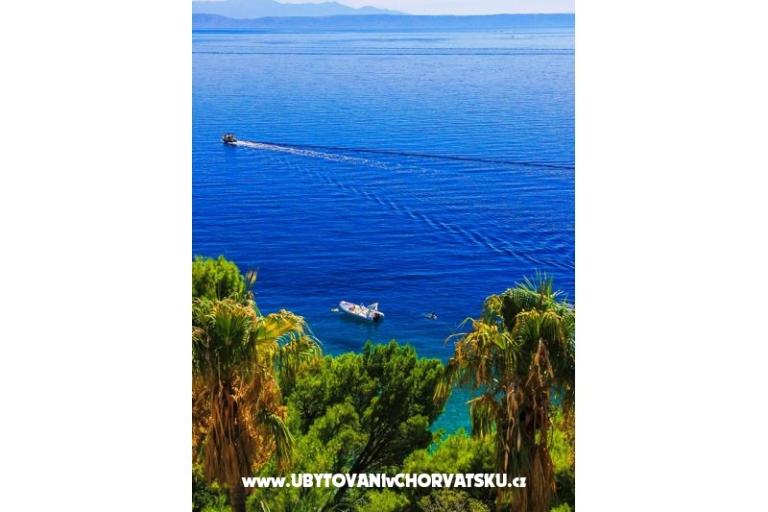 Apartamenty Malina i Krsto – foto 5