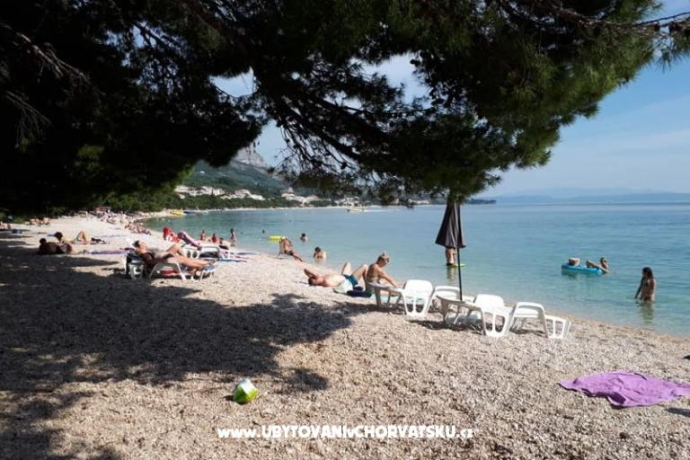 Apartamenty Malina i Krsto – foto 9