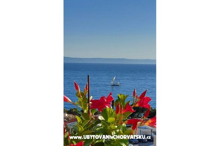 Apartamenty Nensi – foto 2