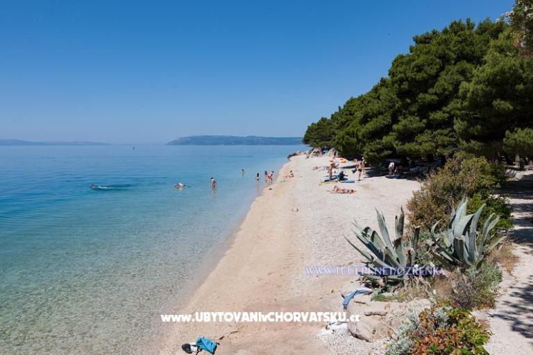 Apartamenty Ozrenka – foto 4