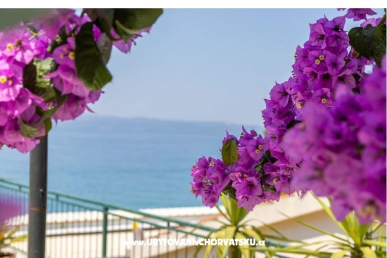 Beachfront Apartament NIVES – foto 29