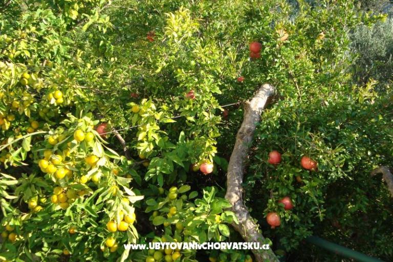 Apartamenty Čović – foto 12