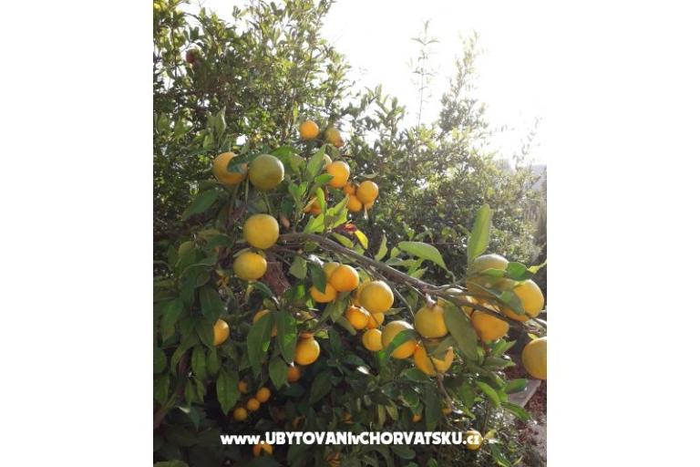 Apartamenty Čović – foto 14