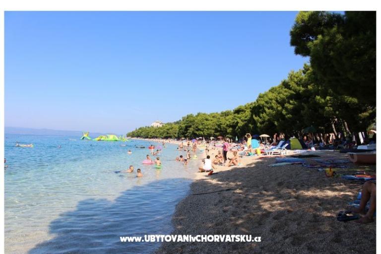 Apartamenty Vesna - Dom Covic – foto 10