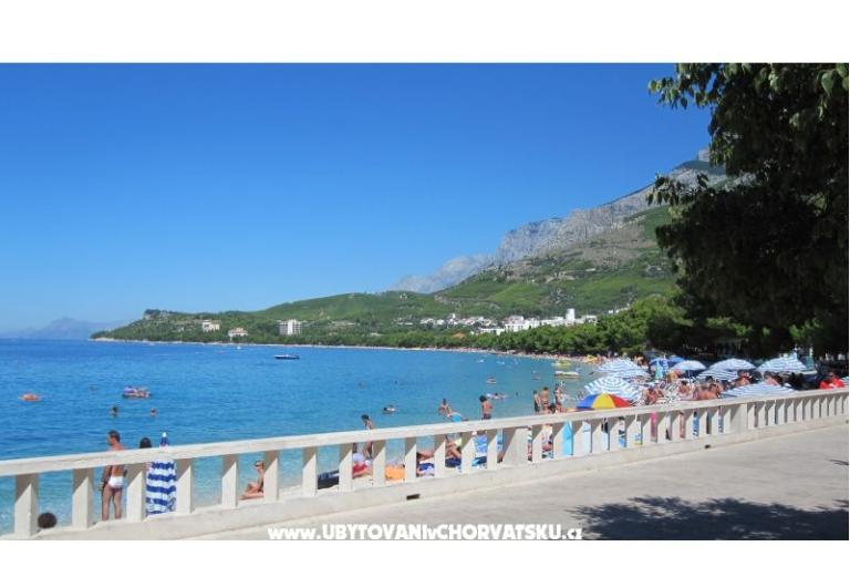 Vila Hermina – foto 3