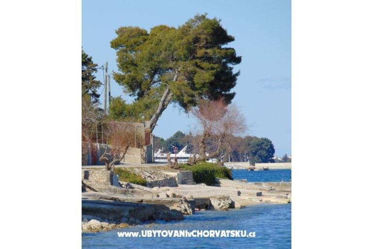 Apartament rosa – foto 4