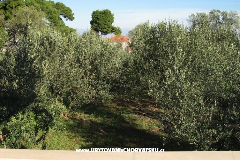 Apartamenty Ante – foto 2